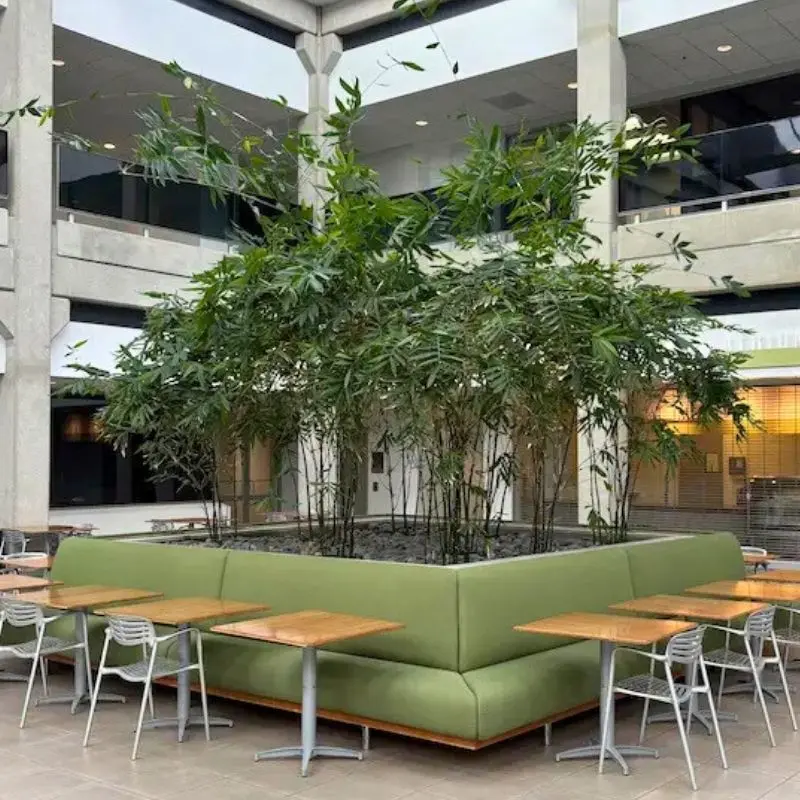 Our Services at Emerald Isle Tropical Plants, Inc.