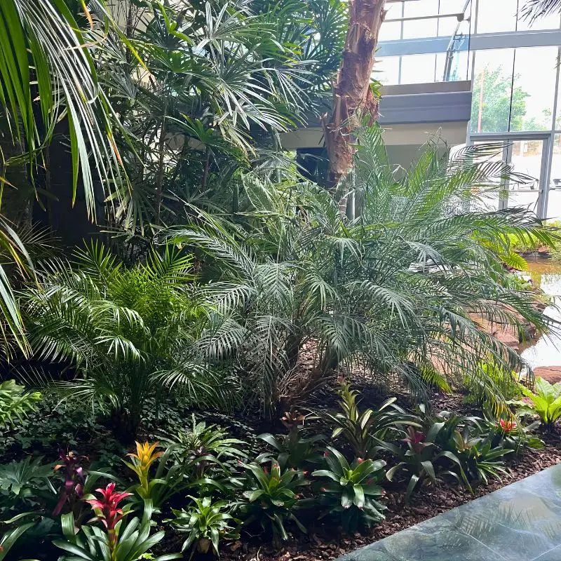 Guaranteed Plant Care Services