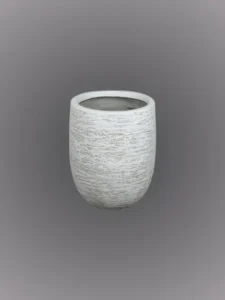 Birch Bottom Radius